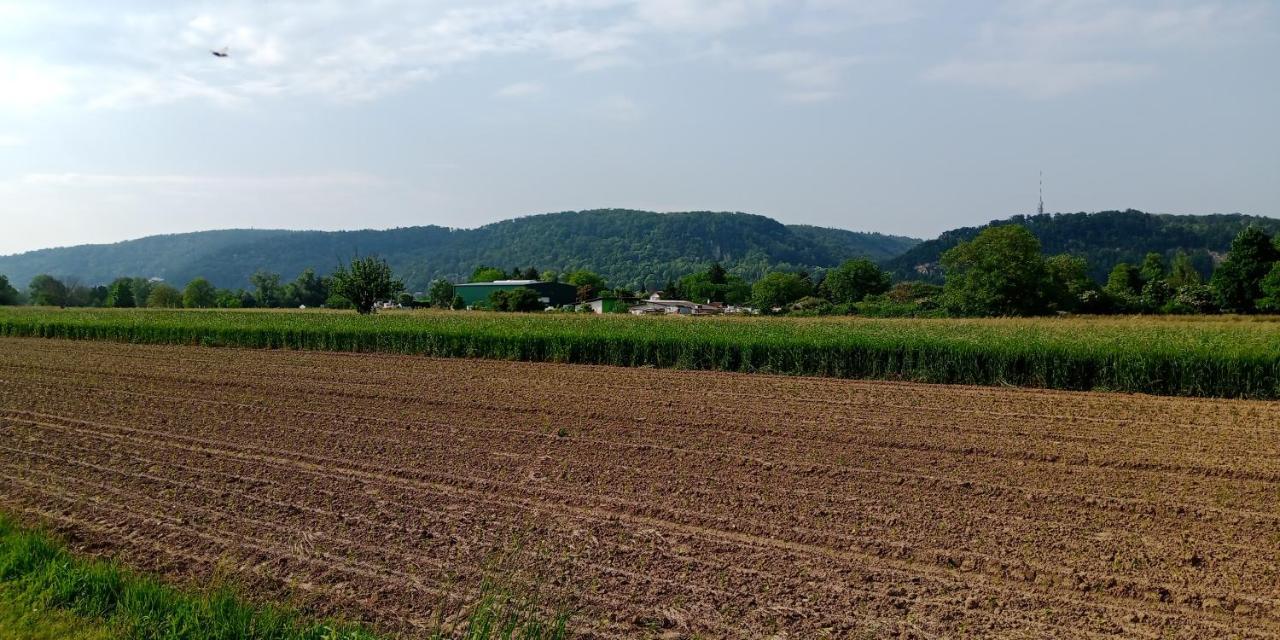 Ferienwohnung In Grenzach Exteriör bild