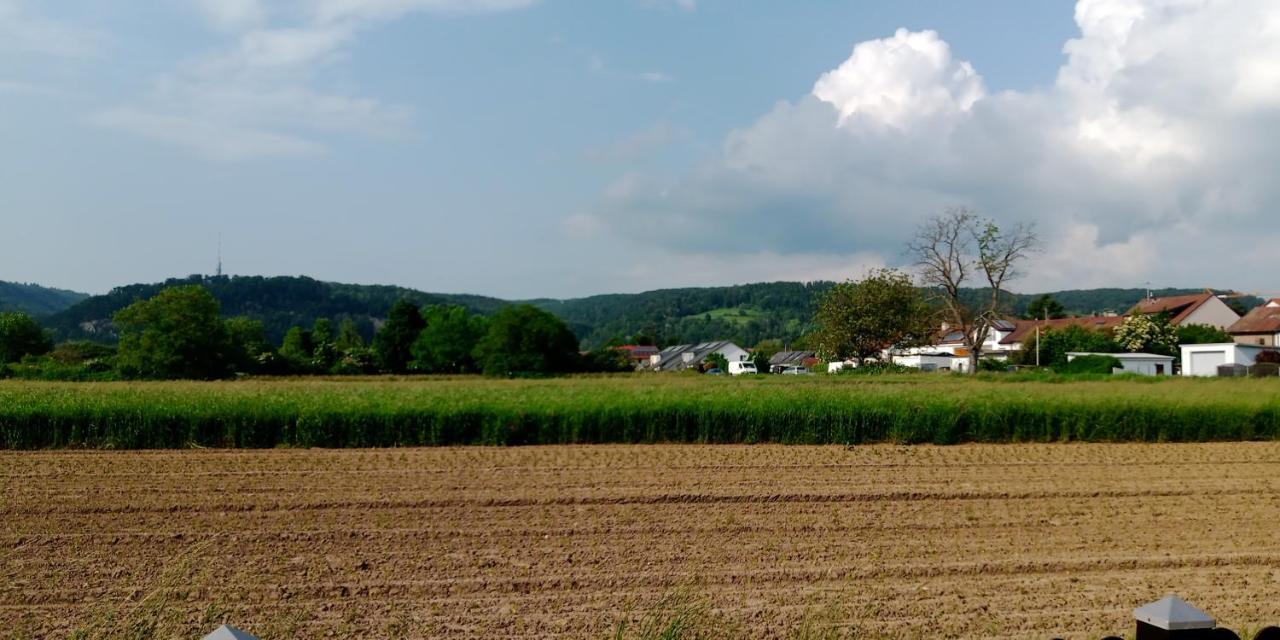 Ferienwohnung In Grenzach Exteriör bild